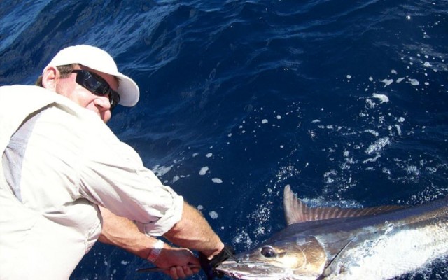 second marlin